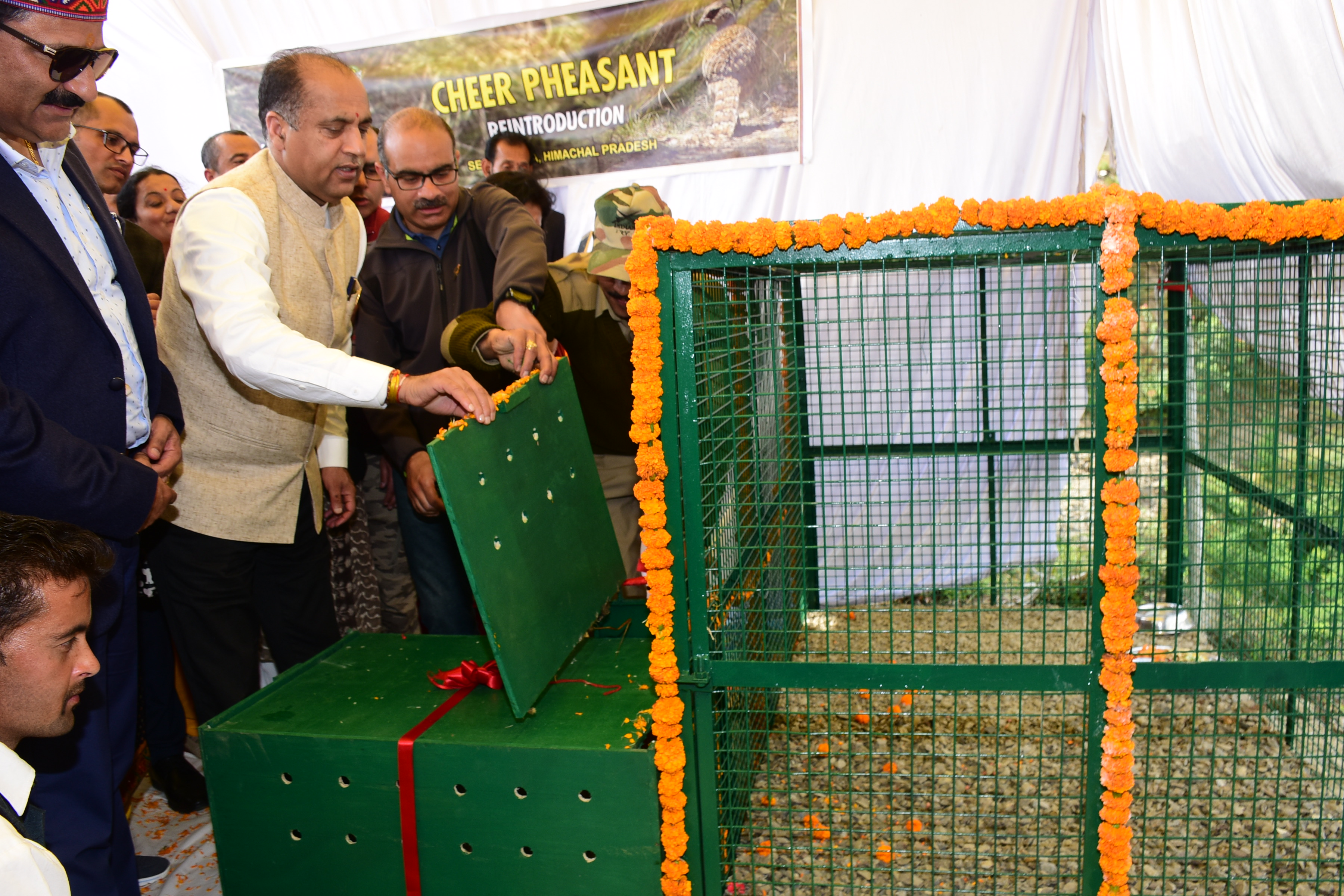 मुख्यमंत्री जयराम ठाकुर ने दुर्लभ हिमालयी चैहड़ फिजेंट को जंगल में छोड़ा
