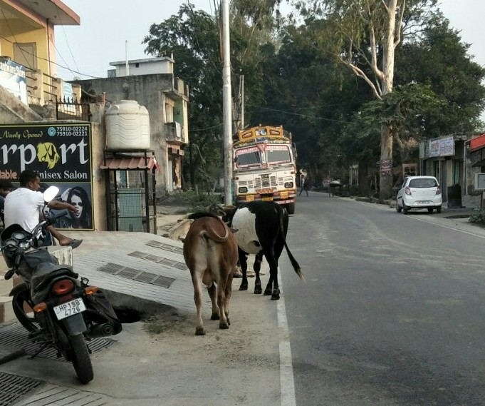 सड़क निर्माण को लेकर झूठी शिकायत करने पर कांट्रेक्टर वेलफेयर एसोसिएशन ऊना भड़की 