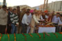औद्योगिक क्षेत्र बद्दी बरोटीवाला नालागढ़ के लोग आवारा पशुओं से परेशान