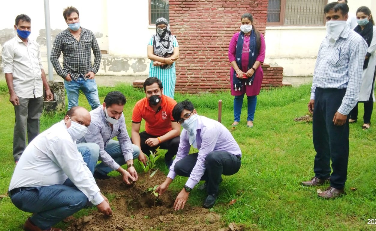 डीएलएसए ने किया पर्यावरण बचाओ अभियान शुरू